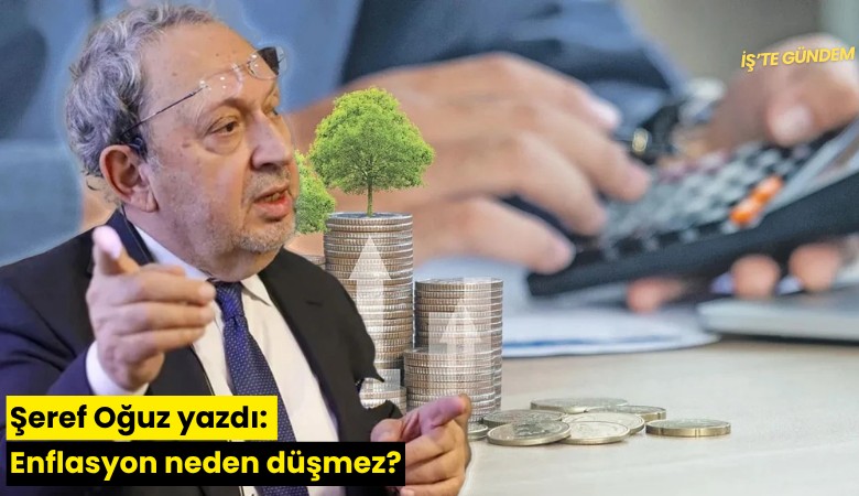 Şeref Oğuz yazdı: Enflasyon neden düşmez?