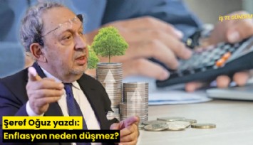 Şeref Oğuz yazdı: Enflasyon neden düşmez?
