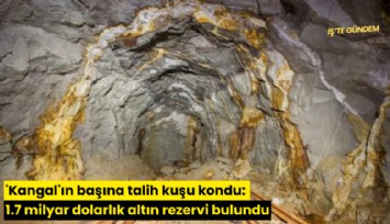 'Kangal'ın başına talih kuşu kondu: 1.7 milyar dolarlık altın rezervi bulundu