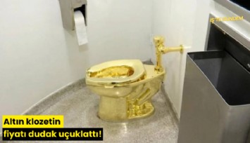 Altın klozetin fiyatı dudak uçuklattı!