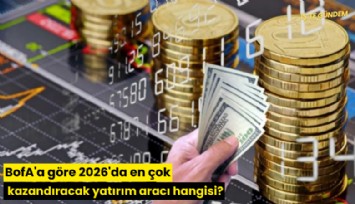 BofA'a göre 2026'da en çok kazandıracak yatırım aracı hangisi?