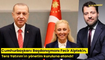 Cumhurbaşkanı Başdanışmanı Fecir Alptekin, Tera Yatırım'ın yönetim kuruluna atandı!