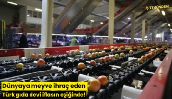 Dünyaya meyve ihraç eden Türk gıda devi iflasın eşiğinde!