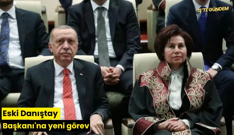 Eski Danıştay Başkanı'na yeni görev