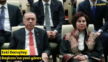 Eski Danıştay Başkanı'na yeni görev