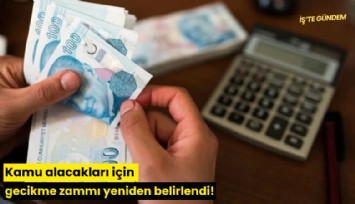 Kamu alacakları için gecikme zammı yeniden belirlendi!