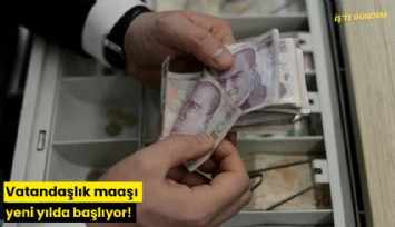 Vatandaşlık maaşı yeni yılda başlıyor!