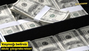 'Kaynağı belirsiz döviz' çıkışında rekor!