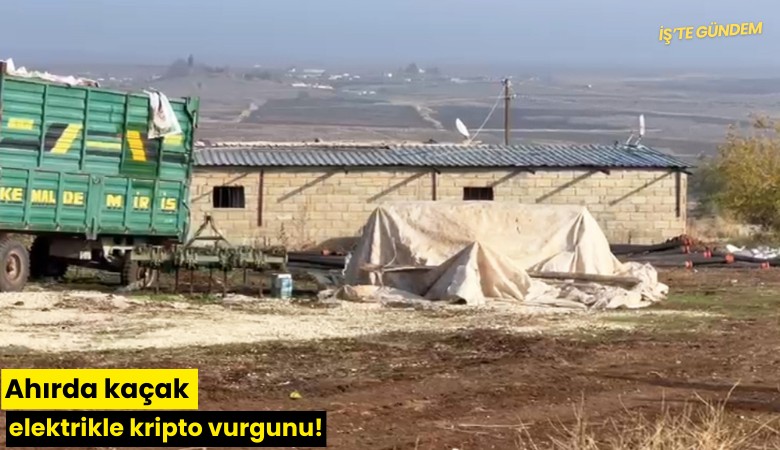Ahırda kaçak elektrikle kripto vurgunu!