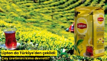 Lipton da Türkiye'den çekildi: Çay üretimini kime devretti?