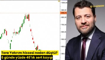 Tera Yatırım hissesi neden düştü? 6 günde yüzde 46'lık sert kayıp