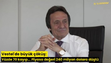 Vestel'de büyük çöküş: Yüzde 70 kayıp... Piyasa değeri 240 milyon dolara düştü
