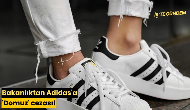 Bakanlıktan Adidas'a 'Domuz' cezası!