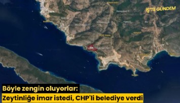 Böyle zengin oluyorlar: Zeytinliğe imar istedi, CHP'li belediye verdi