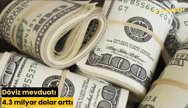 Döviz mevduatı 4.3 milyar dolar arttı