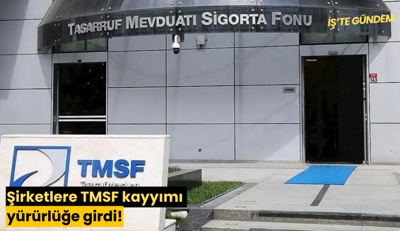 Şirketlere TMSF kayyımı yürürlüğe girdi!