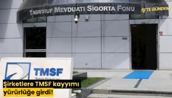 Şirketlere TMSF kayyımı yürürlüğe girdi!