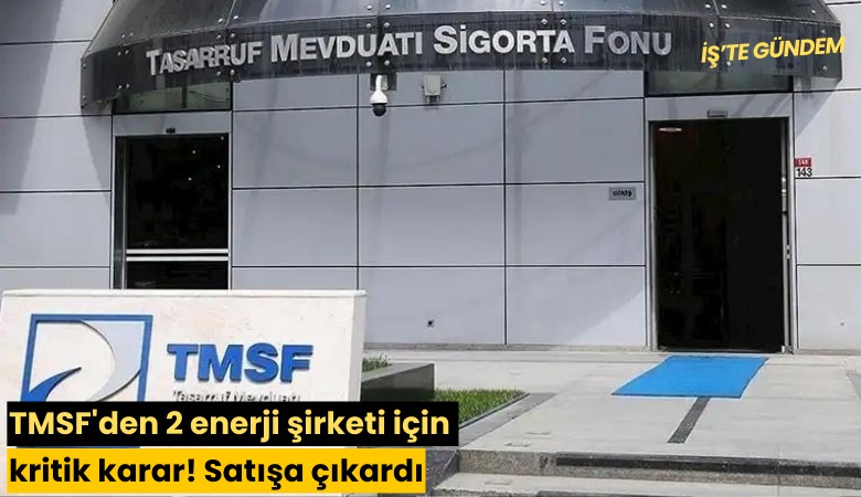 TMSF'den 2 enerji şirketi için kritik karar! Satışa çıkardı