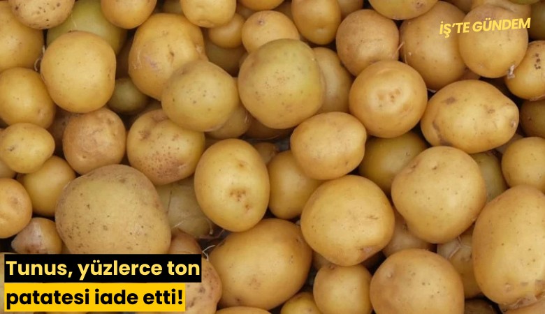 Tunus, yüzlerce ton patatesi iade etti!