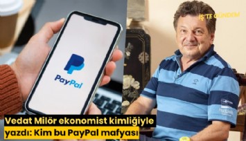 Vedat Milör ekonomist kimliğiyle yazdı: Kim bu PayPal mafyası