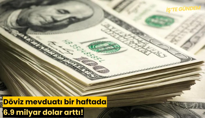 Döviz mevduatı bir haftada 6.9 milyar dolar arttı!