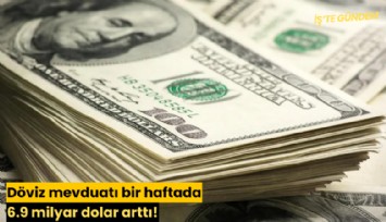 Döviz mevduatı bir haftada 6.9 milyar dolar arttı!