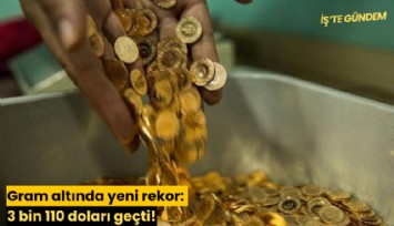 Gram altında yeni rekor: 3 bin 110 doları geçti!