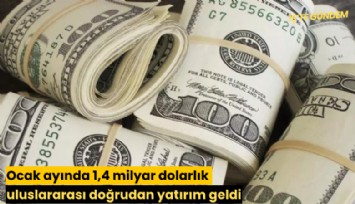 Ocak ayında 1,4 milyar dolarlık uluslararası doğrudan yatırım geldi