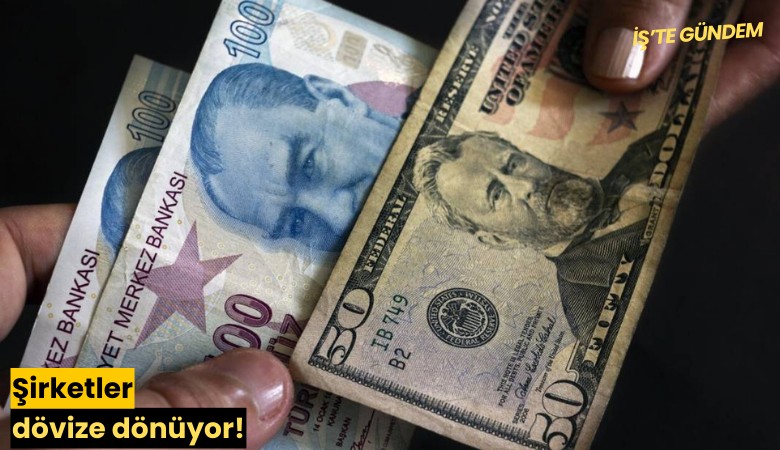 Şirketler dövize dönüyor!