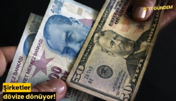 Şirketler dövize dönüyor!