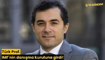 Türk Prof. IMF'nin danışma kuruluna girdi!