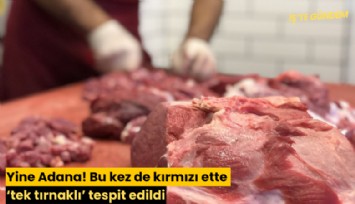 Yine Adana! Bu kez de kırmızı ette 'tek tırnaklı' tespit edildi