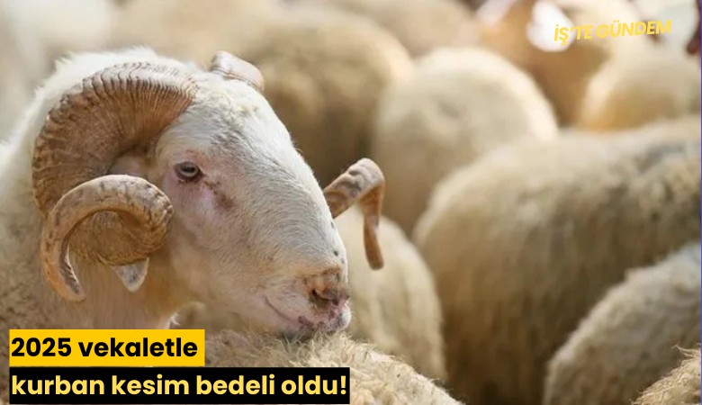 2025 vekaletle kurban kesim bedeli oldu!
