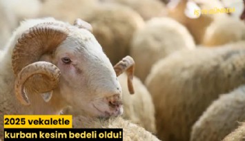 2025 vekaletle kurban kesim bedeli oldu!