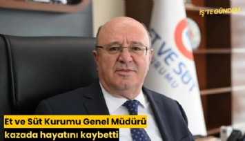 Et ve Süt Kurumu Genel Müdürü kazada hayatını kaybetti