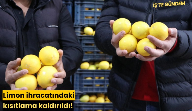 Limon ihracatındaki kısıtlama kaldırıldı!
