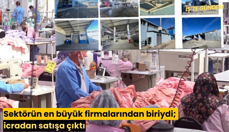 Sektörün en büyük firmalarından biriydi; icradan satışa çıktı