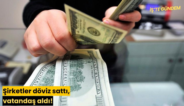 Şirketler döviz sattı, vatandaş aldı!