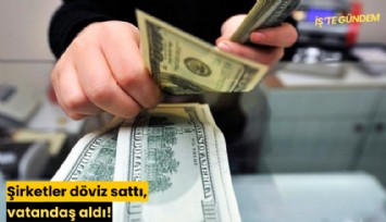 Şirketler döviz sattı, vatandaş aldı!