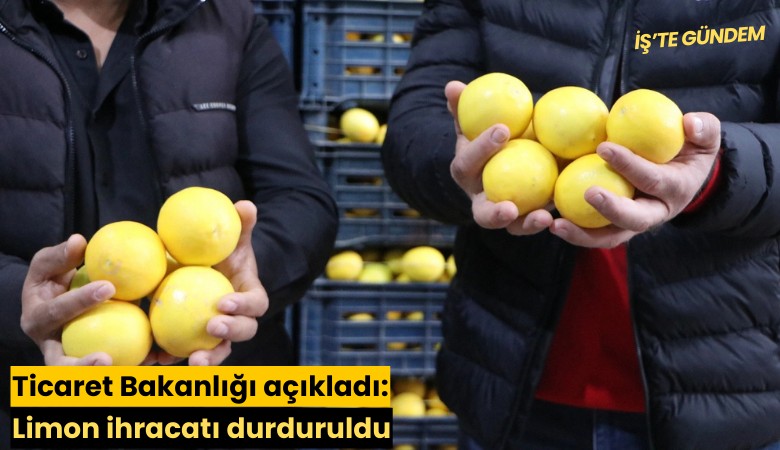 Ticaret Bakanlığı açıkladı: Limon ihracatı durduruldu