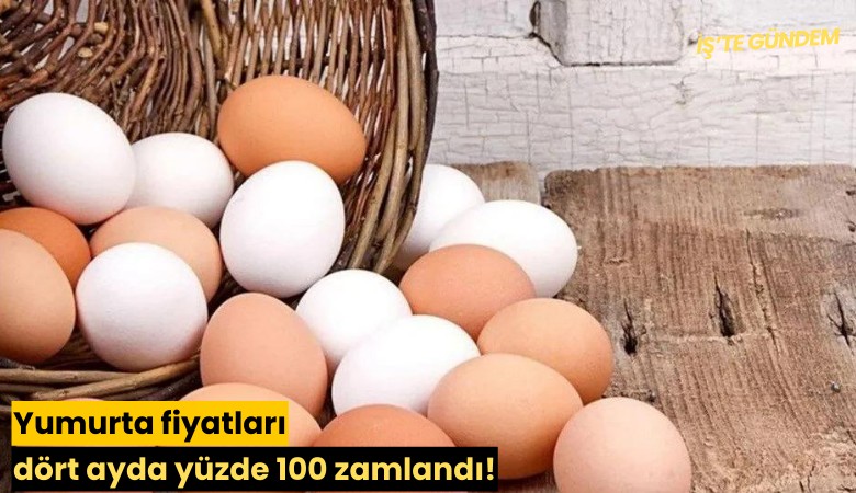 Yumurta fiyatları dört ayda yüzde 100 zamlandı!