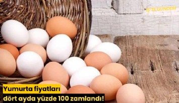 Yumurta fiyatları dört ayda yüzde 100 zamlandı!