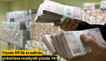 Yüzde 55'lik kredinin şirketlere maliyeti yüzde 74!
