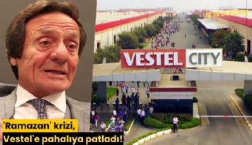 'Ramazan' krizi, Vestel'e pahalıya patladı!