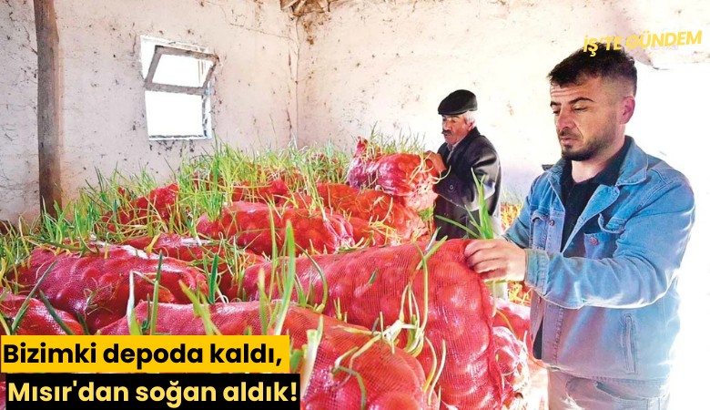Bizimki depoda kaldı, Mısır'dan soğan aldık!