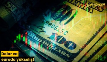 Dolar ve euroda yükseliş!