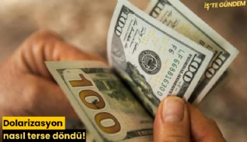 Dolarizasyon nasıl terse döndü!