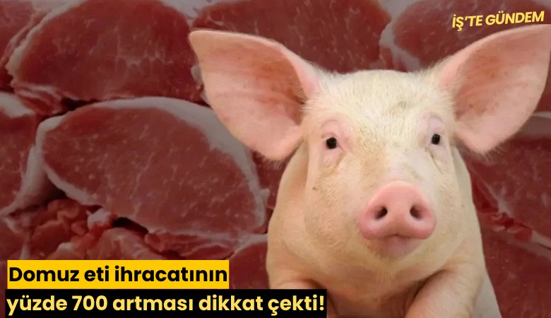Domuz eti ihracatının yüzde 700 artması dikkat çekti!