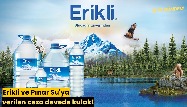 Erikli ve Pınar Su'ya verilen ceza devede kulak!