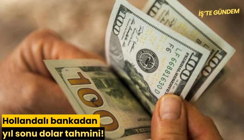 Hollandalı bankadan yıl sonu dolar tahmini!